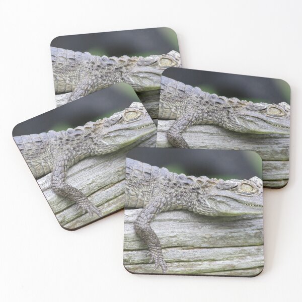 Item preview, Baby aligator designed and sold by KimhengFineArt.