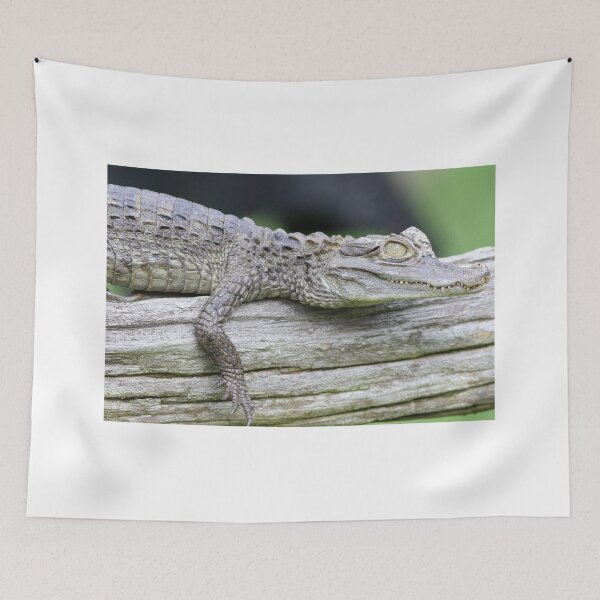 Item preview, Baby aligator designed and sold by KimhengFineArt.