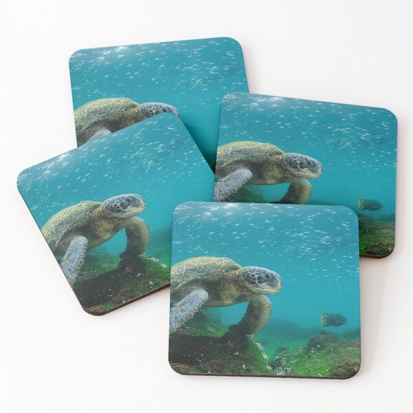 Item preview, Galápagos Islands, Ecuador designed and sold by scenerymerch.