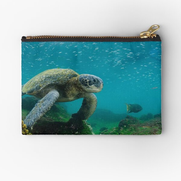 Item preview, Galápagos Islands, Ecuador designed and sold by scenerymerch.