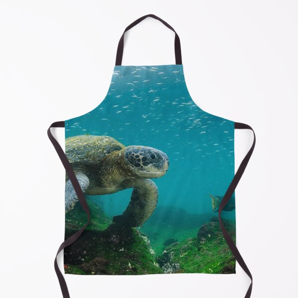 Item preview, Galápagos Islands, Ecuador designed and sold by scenerymerch.