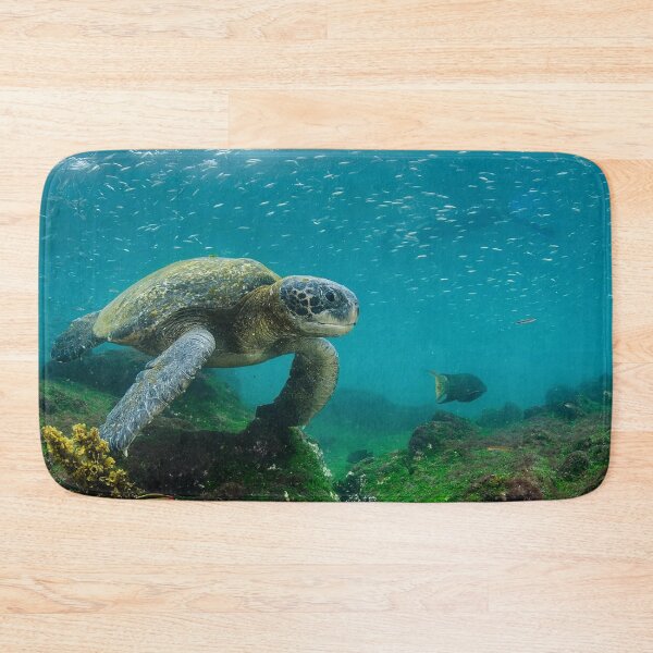 Item preview, Galápagos Islands, Ecuador designed and sold by scenerymerch.