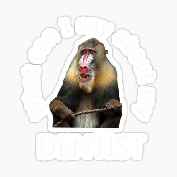 What can I Say About My Dentist Funny Mandrill Baboons Men  Sticker