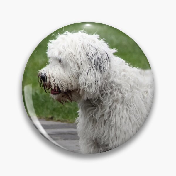 Item preview, One Pretty Doggie, Four Dirty Paws!  designed and sold by heatherfriedman.