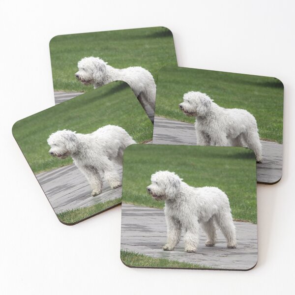 Item preview, One Pretty Doggie, Four Dirty Paws!  designed and sold by heatherfriedman.