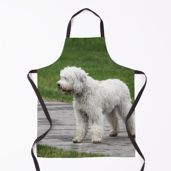 Item preview, One Pretty Doggie, Four Dirty Paws!  designed and sold by heatherfriedman.
