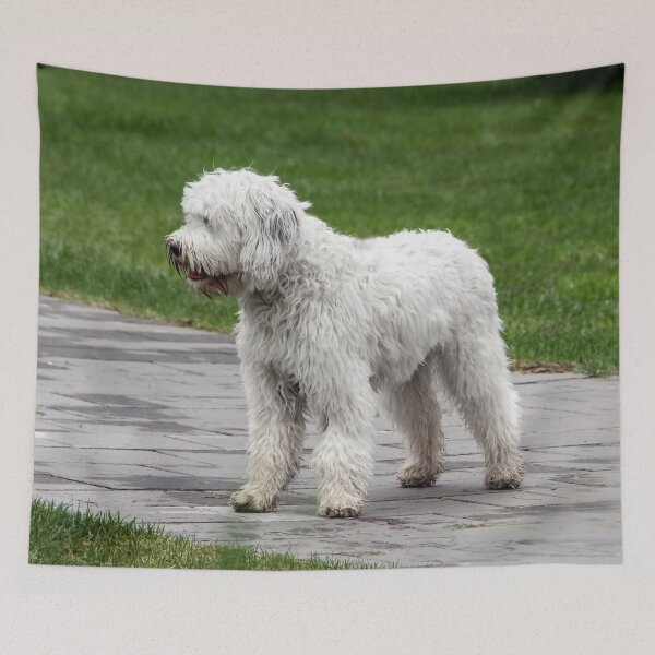 Item preview, One Pretty Doggie, Four Dirty Paws!  designed and sold by heatherfriedman.