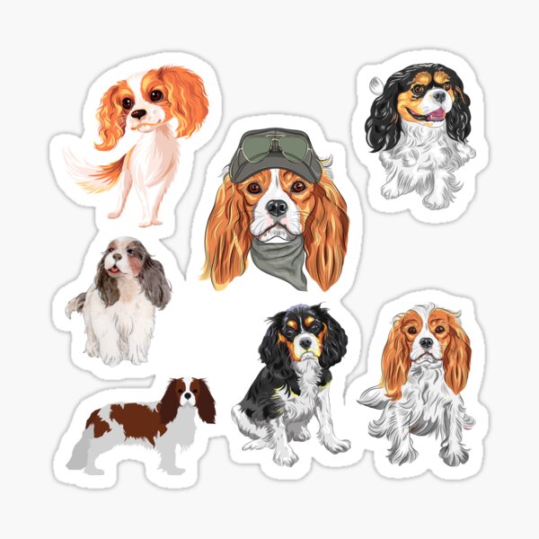 Cavalier Spaniel Sticker pack Sticker