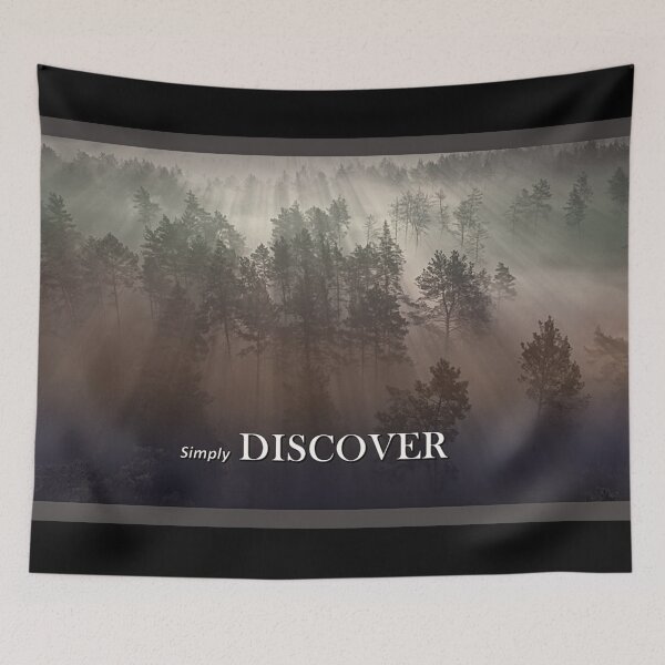 Item preview, DISCOVER designed and sold by THE AMERICAN TEEVANGELIST.