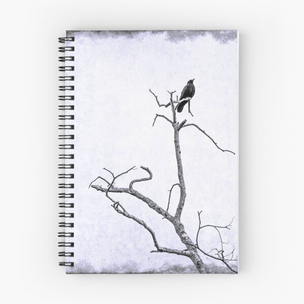 Item preview, Out on a limb. Fine art photo designed and sold by lightnshadow1.