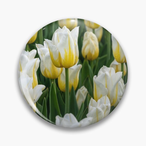 Item preview, Tulips 4 designed and sold by Praytera.
