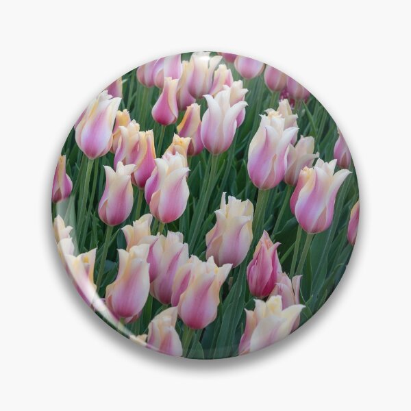 Item preview, Tulips 5 designed and sold by Praytera.