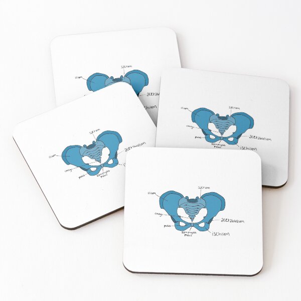Item preview, Pelvis designed and sold by ChronicallyChey.
