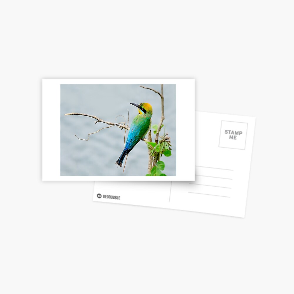 Item preview, Postcard designed and sold by Gailsphotoart.