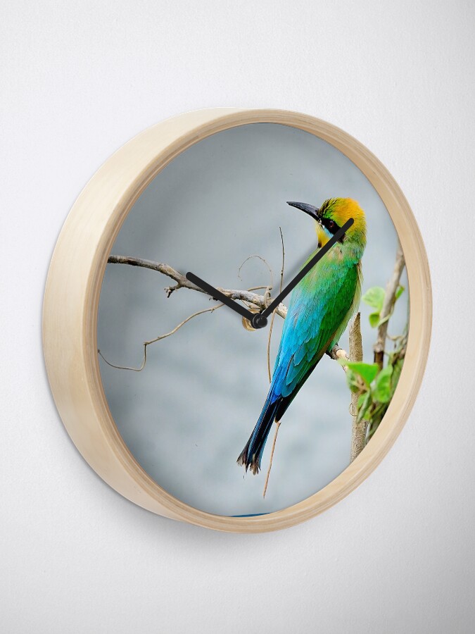 Alternate view of Rainbow Bee-eater 'Patiently Waiting' Clock