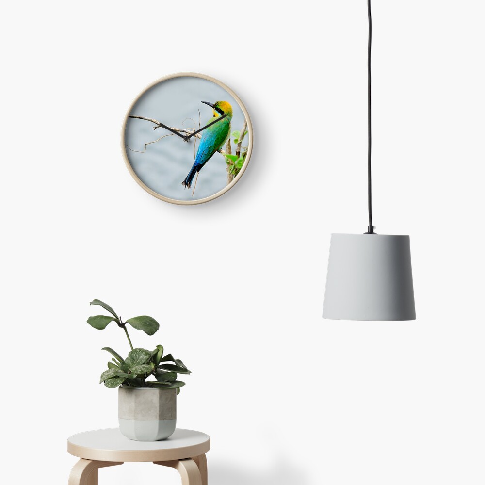 Rainbow Bee-eater 'Patiently Waiting' Clock