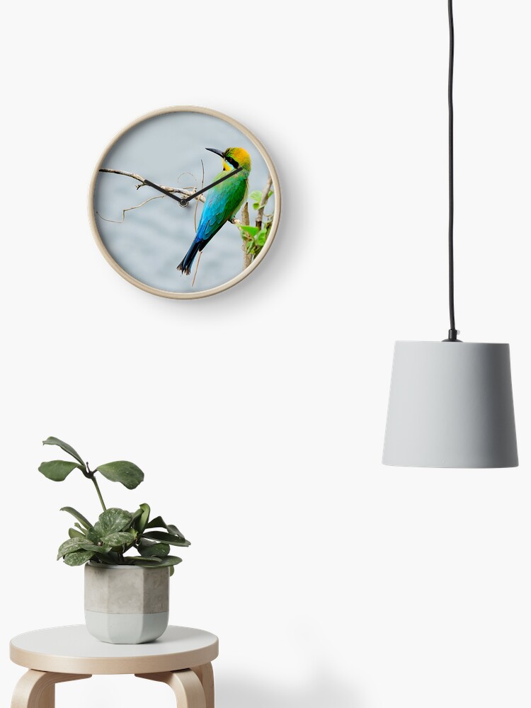 Thumbnail 2 of 4, Clock, Rainbow Bee-eater 'Patiently Waiting' designed and sold by Gailsphotoart.