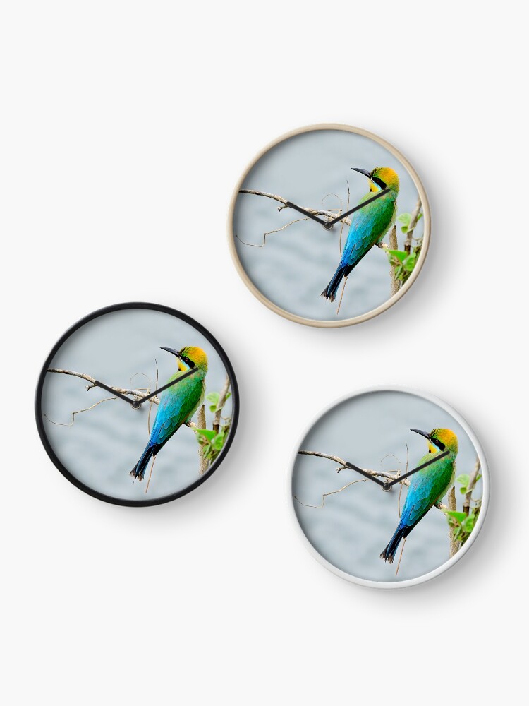 Thumbnail 3 of 4, Clock, Rainbow Bee-eater 'Patiently Waiting' designed and sold by Gailsphotoart.