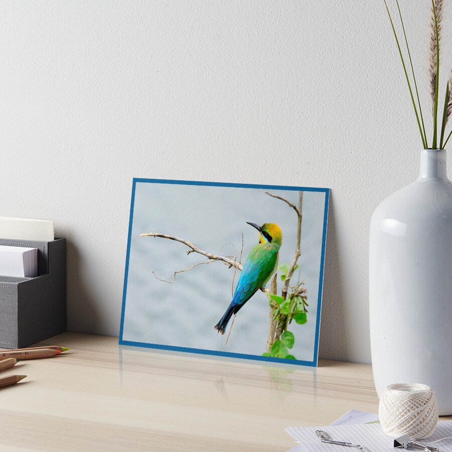 Item preview, Art Board Print designed and sold by Gailsphotoart.