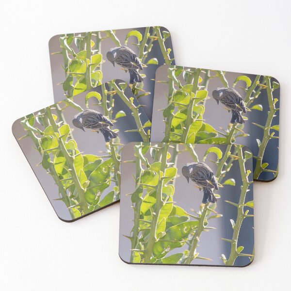 Item preview, Thorns Make Good Perches designed and sold by CarolM.