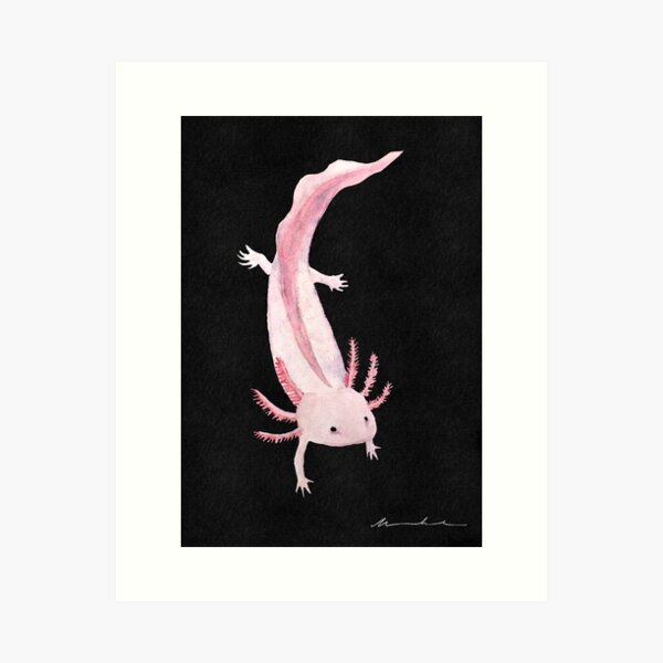 Artikel-Vorschau von Pink Axolotl, designt und verkauft von mooonhannah.