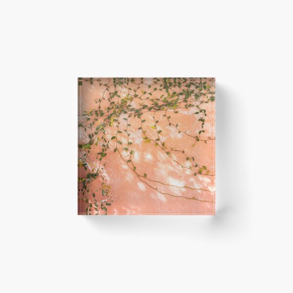 Item preview, Botanical San Miguel de Allende | Shadow light play Mexico photography | Pastel colors designed and sold by raisazwart.