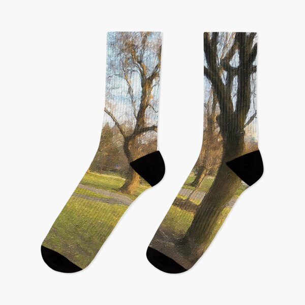 Item preview, Public Garden Painting designed and sold by Autumn Seas Photography.