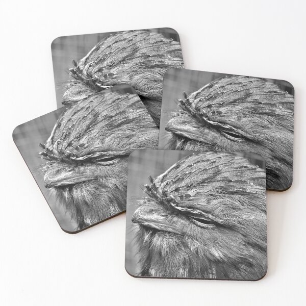 Item preview, Tawny Frogmouth designed and sold by Bryds94.