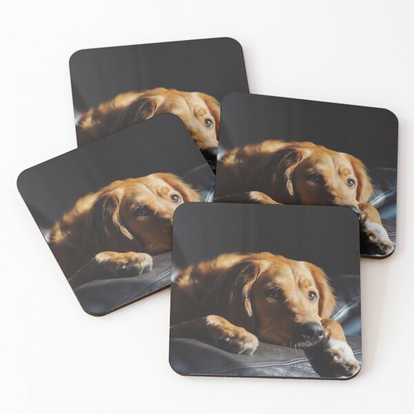 Item preview, Dog pretty! designed and sold by AllureVisions.