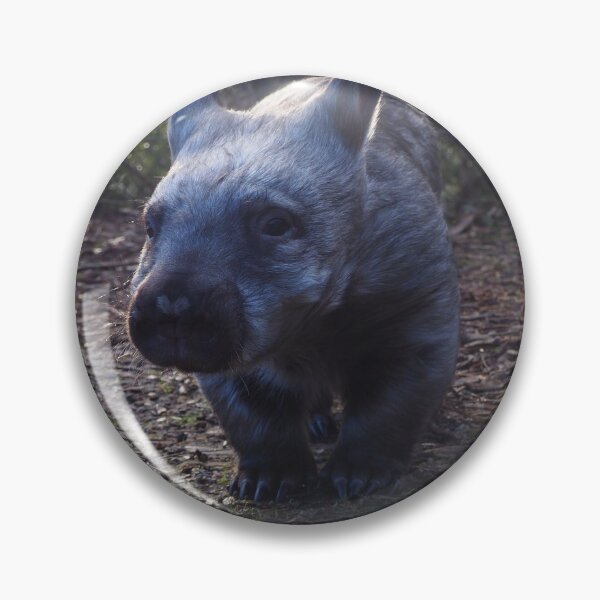 Artikelvorschau, Schnupfen Sie den haarigen Wombat entworfen und verkauft von Bryds94.