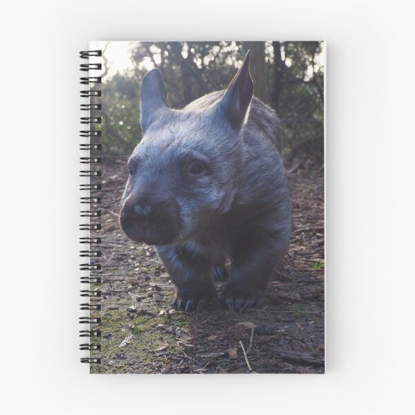 Aperçu de l'œuvre Reniflez le wombat poilu créée et vendue par Bryds94.