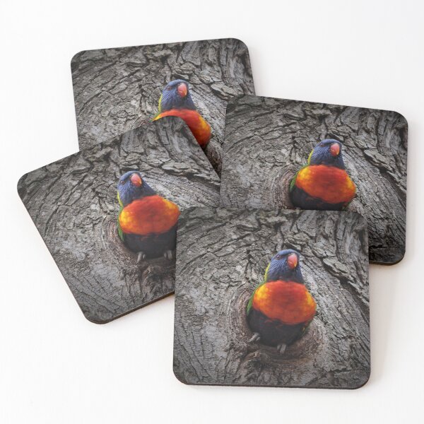 Item preview, Rainbow Lorikeet designed and sold by Bryds94.