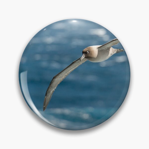 Item preview, Light-mantled sooty albatross designed and sold by Mark Prior.
