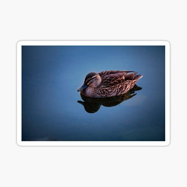 Item preview, The Duck designed and sold by Suzannah Maree.