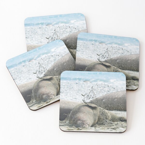Item preview, Elephant seal tossing sand designed and sold by Mark Prior.