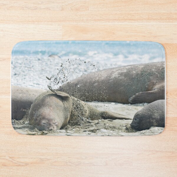 Item preview, Elephant seal tossing sand designed and sold by Mark Prior.