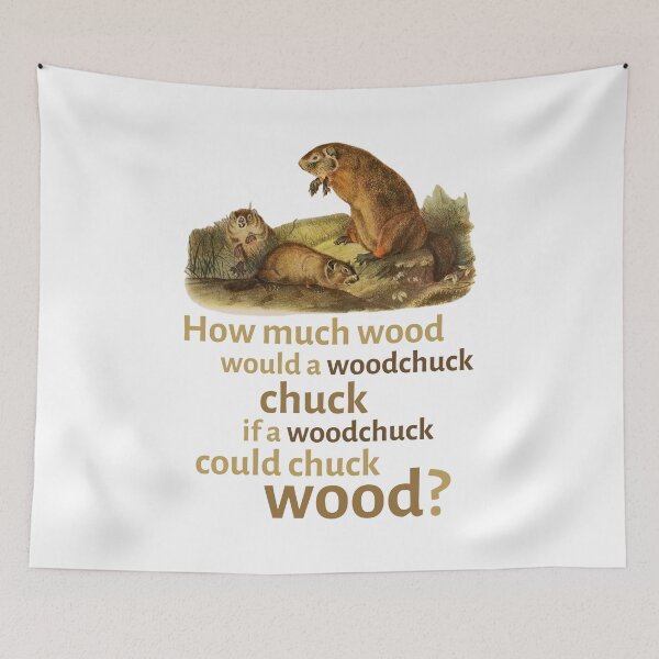 Item preview, How Much Wood Would a Woodchuck Chuck? designed and sold by Primal Frog.
