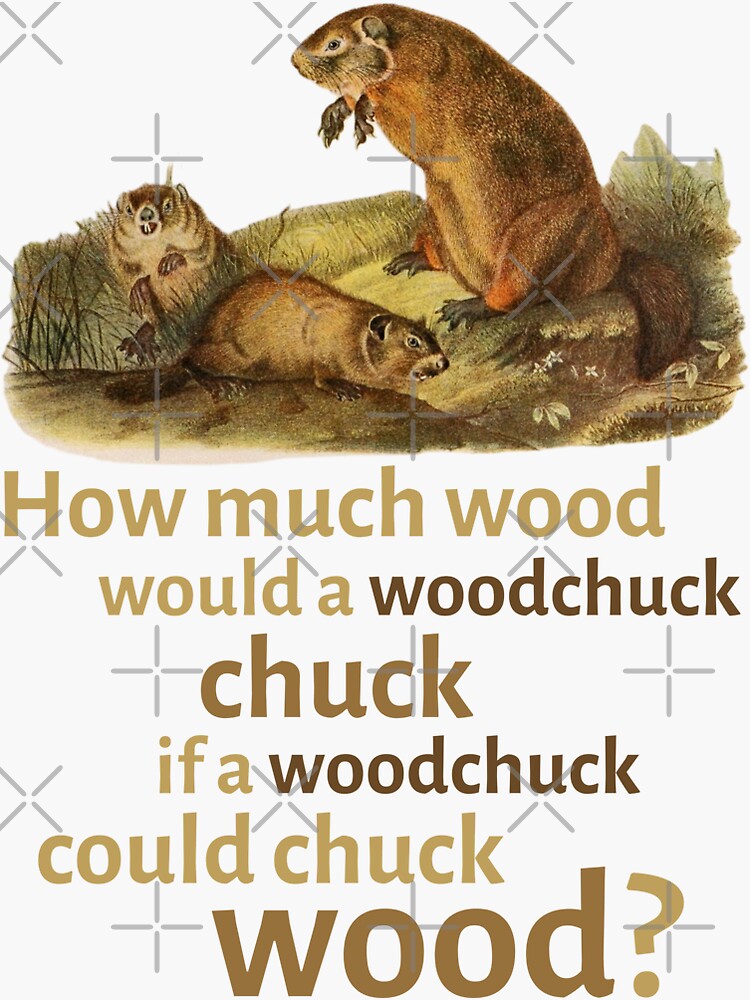 Woodchuck Chuck Wood. Скороговорка Woodchuck Chuck. How much Wood would a Woodchuck Chuck if a Woodchuck could Chuck Wood. How much Wood a Woodchuck скороговорка.