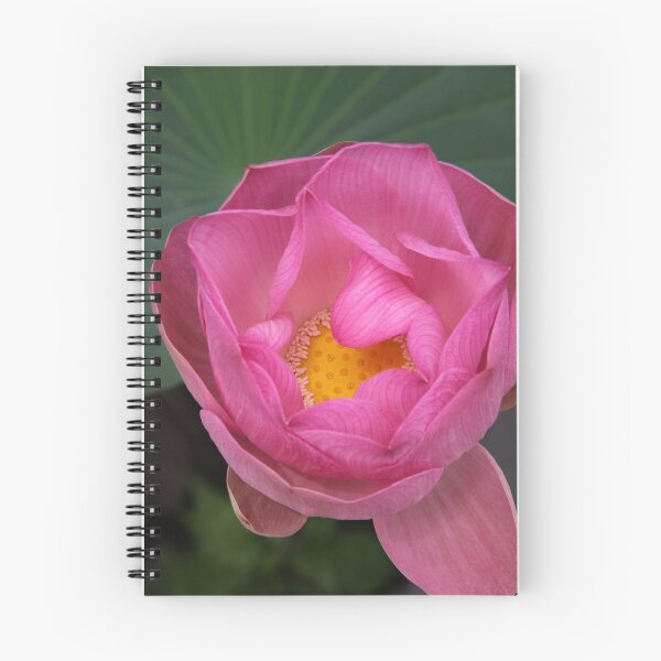 Item preview, Lusciousness Of The Lotus Blossom designed and sold by coffeebean.