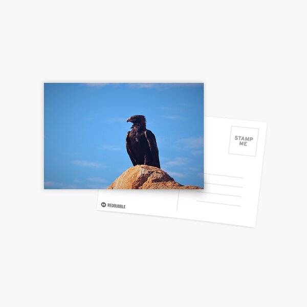 Item preview, Eagle Rock designed and sold by Bryds94.
