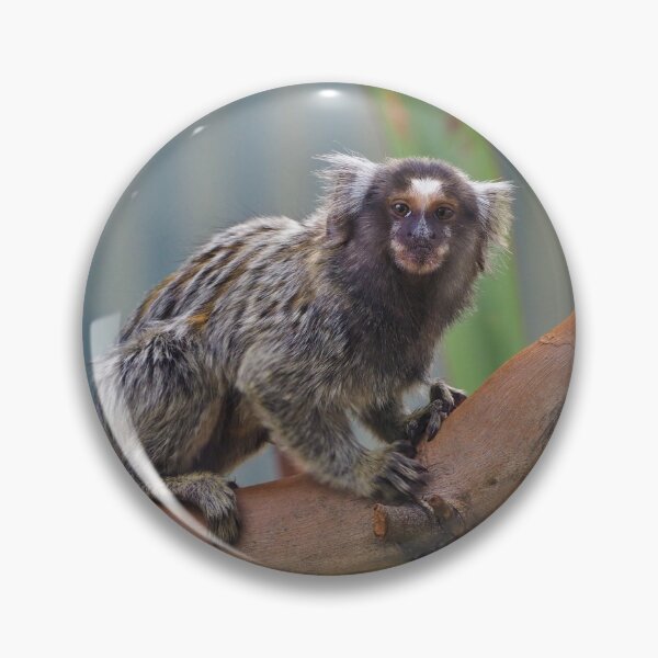 Item preview, Monkey! designed and sold by Bryds94.