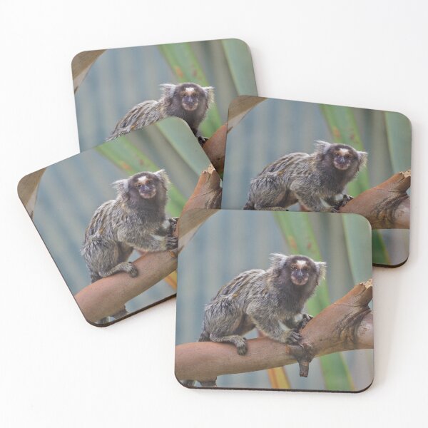 Item preview, Monkey! designed and sold by Bryds94.