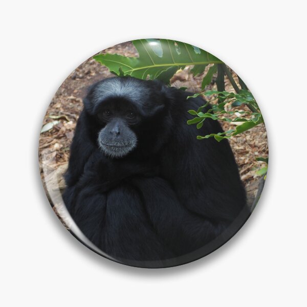 Artikelvorschau, Gibbon - alle lächeln entworfen und verkauft von Bryds94.