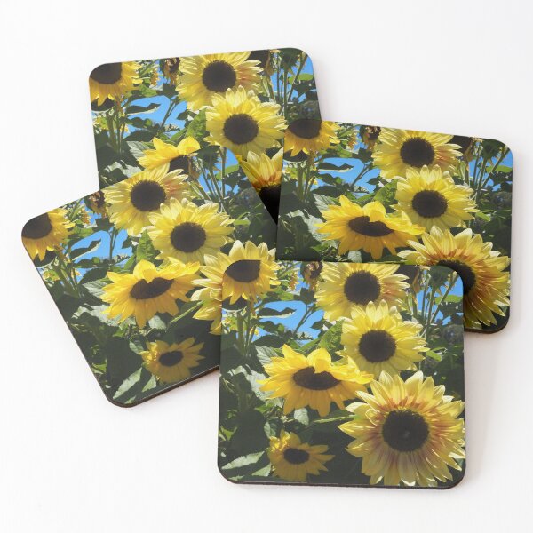 Download Sunflower Coasters Redbubble