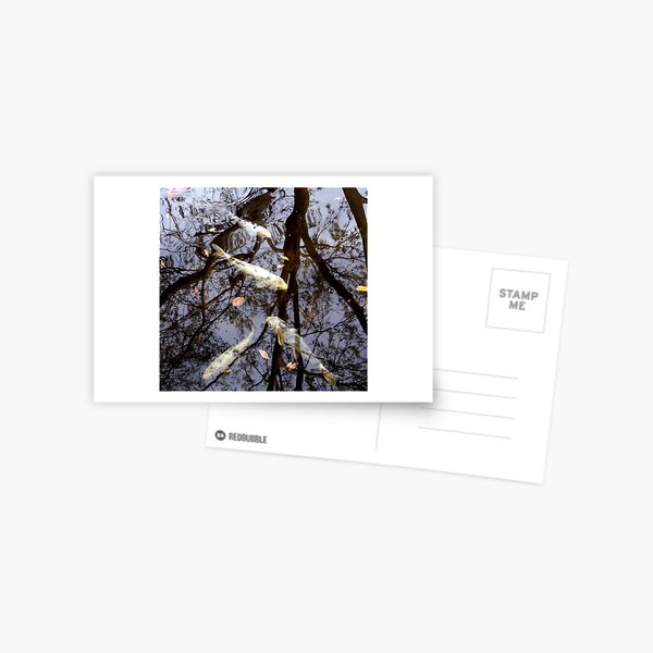 Sue Shearer Australia, CARP DIEM digital print Postcard