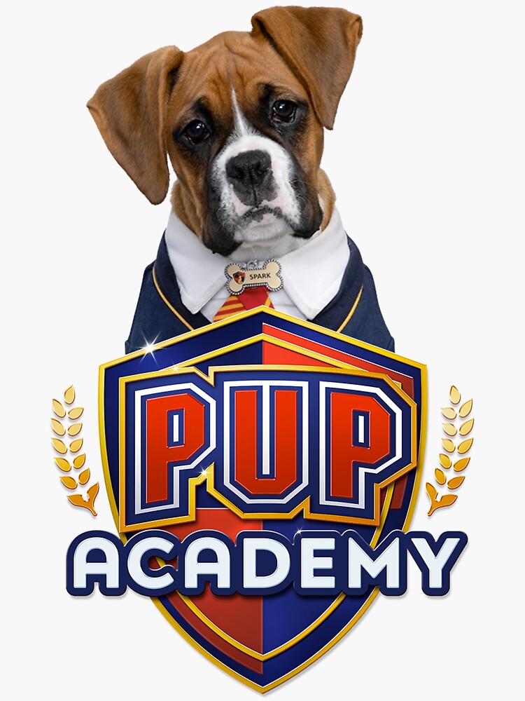 Spark Pup Academy Show Sticker For Sale By Oldschool Kids Redbubble