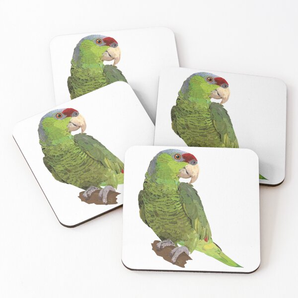 Item preview, Amazona finschi designed and sold by obscurite.