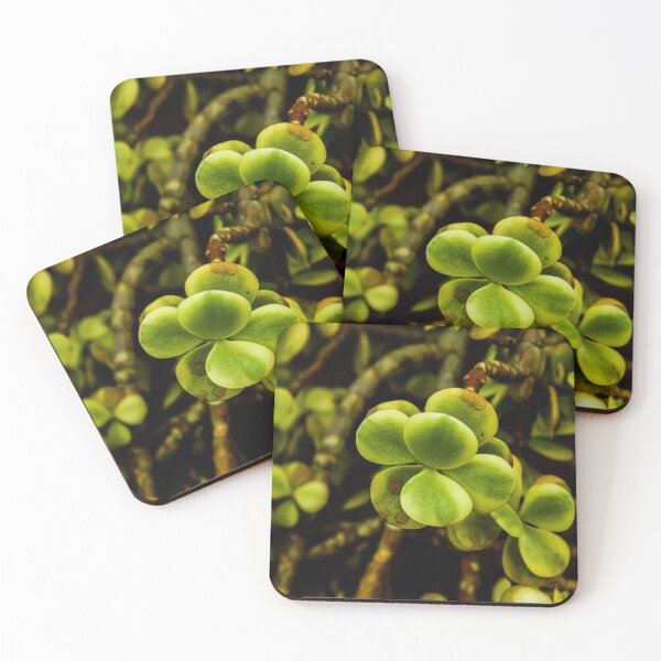 Item preview, Double Succulents designed and sold by Dominique Harness.