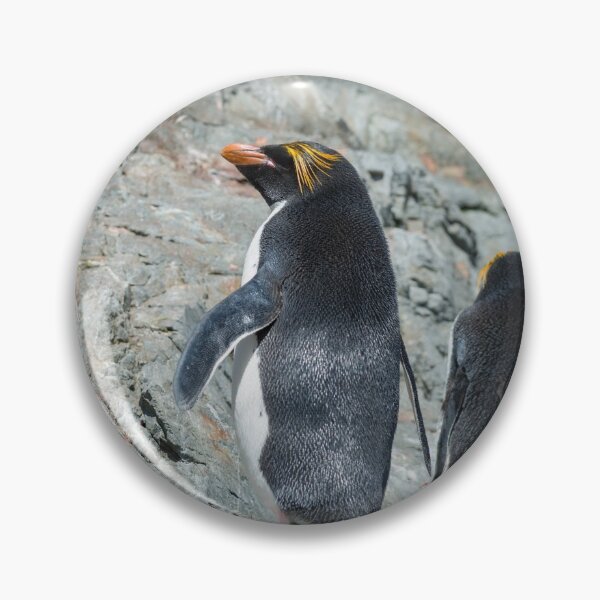 Item preview, Macaroni penguins at Hercules Bay designed and sold by Mark Prior.