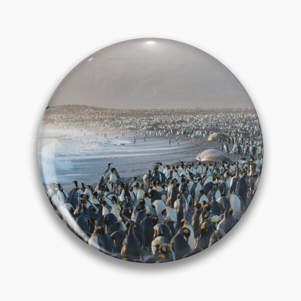 Item preview, Sunrise at St. Andrews Bay designed and sold by Mark Prior.